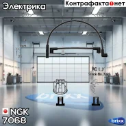 ������� �������������� RCLD301 NGK ���. 7068 7068 ����