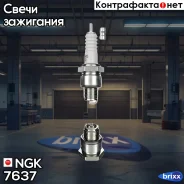 ������ NGK ���. 7637 7637 ����