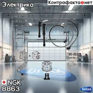 ������� �������������� RCZE32B NGK ���. 8863 8863 ����