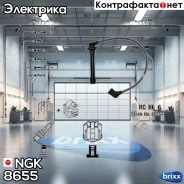 ������� �������������� RCHE76 NGK ���. 8655 8655 ����