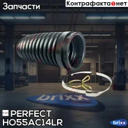 ������� ������� ����� Perfect (��������� 1 ��) Perfect ���. HO55AC14LR HO55AC14LR ����
