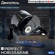 ������� ��������� ������ Perfect (��������� 1 ��) Perfect ���. HO81S5Araie HO81S5ARAIE ����
