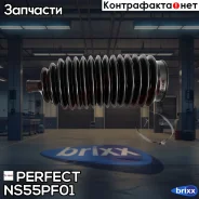 ������� ������� ����� 11�52�192 Perfect (��������� 1 ��) Perfect ���. NS55PF01 NS55PF01 ����