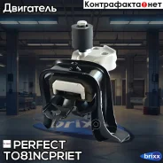 ������� ��������� ������ Perfect (��������� 1 ��) Perfect ���. TO81Ncpriet TO81NCPRIET ����