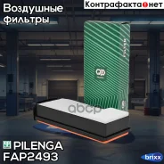 ������ ��������� Pilenga ���. FA-P2493 FAP2493 ����