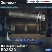 ���� Peugeot-Citroen ���. 503620 503620 ����