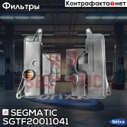 ������ ���� c ���������� Segmatic ���. SGTF20011041 SGTF20011041 ����