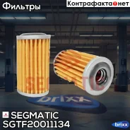 ������ ���� c ���������� Segmatic ���. SGTF20011134 SGTF20011134 ����