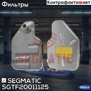 ������ ���� c ���������� Segmatic ���. SGTF20011125 SGTF20011125 ����