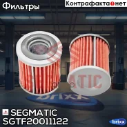 ������ ���� c ���������� Segmatic ���. SGTF20011122 SGTF20011122 ����