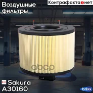 ������ ��������� Sakura ���. A30160 A30160 ����