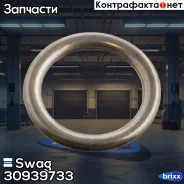 ��������� ������� ������ ��������� ������� (���� �� 1 ��. ) Swag ���. 30939733 30939733 ����