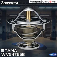 ��������� ���� TAMA ���. WV54765B WV54765B ����