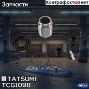 ����������� ���������� �������� ������� Nissan Tatsumi ���. TCG1098 TCG1098 ����