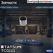 ����������� ���������� �������� ��������� Mazda Tatsumi ���. TCG1111 TCG1111 ����