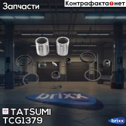 ����������� ���������� �������� ��������� (� �������) Iveco/Mercedes/Nissan/VW Tatsumi ���. TCG1379 TCG1379 ����