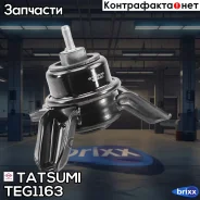 ����� ��������� Tatsumi ���. TEG1163 TEG1163 ����