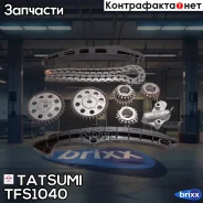 �������� ���� ��� AUDI A3 07- Skoda Fabia/Octavia/Rapid/Roomster/S�uperb/Yeti 07- VW Golf/Jetta/Passat/Polo/ Sharan/Tiguan/Touran 06- Tatsumi ���. TFS...