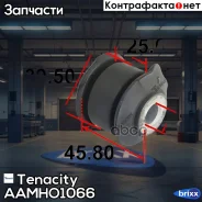 ����������� ������ Tenacity (2024) Aamho1066 Front Tenacity ���. Aamho1066, �������� AAMHO1066 ����