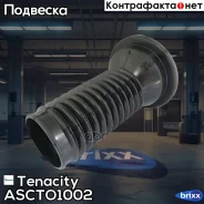 ������� ������������ Tenacity (1848) Ascto1002 Tenacity ���. Ascto1002 ASCTO1002 ����