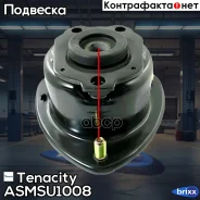 ����� ������������ Tenacity (145) Asmsu1008 Tenacity ���. Asmsu1008 ASMSU1008 ����