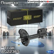 ����������� (������) ���. | ����� ���� | Trialli ���. AG22365 AG22365 ����