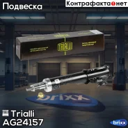 ����������� (������) ���. | ����� ��� | Trialli ���. AG24157 AG24157 ����