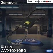 ������ �������� Trialli ���. AVX10X1050 AVX10X1050 ����