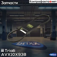 ������ �������� Trialli ���. AVX10X938 AVX10X938 ����