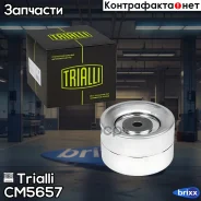 ����� ������. ����� ����� 5490/Axor [��457] �����. ����. (10x80x48) (CM 5657) Trialli ���. CM5657 CM5657 ����