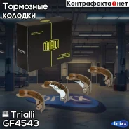 ������� ��������� ���������� 200x36�� Trialli ���. GF4543 GF4543 ����