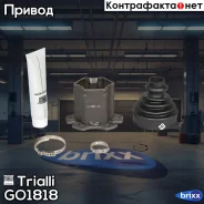 ���� ��� �/� Audi A6 C5 (97-) (�����. ) () | ����� ��� | Trialli ���. GO1818 GO1818 ����