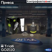 ���� (�����. ) Opel Corsa D 06- Trialli ���. GO 2110 GO2110 ����