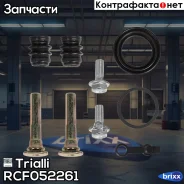 ����������� ���������� �������� | ��� | Trialli ���. RCF052261 RCF052261 ����
