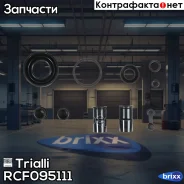 ����������� �������� ��� �/� Renault Laguna II (01-) ���. d=38�� | ��� | Trialli ���. RCF095111 RCF095111 ����