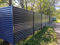 ��������� �������. ����