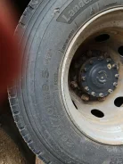 Lander Sea. ������, ��� �����, 2024 ���, �/�, ����� 5 %. ���������� (������) ����