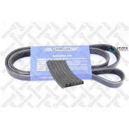 ������ ������������! 6PK2270 MB W202/W210 2.0/2.2 CDi 97-00 Stellox 0602275SX 0602275SX ����