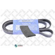 ������ ������������ !6PK1995 MB 208D-508D 2.3D OM601 90-95, VW T4 2.5 91 Stellox 0601995SX 0601995SX ����
