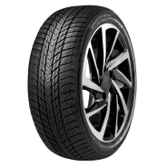 Roadstone Winguard Ice Plus