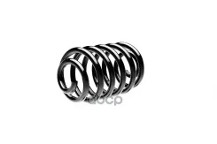 ������� ������� ����� | ��� ����/��� | Standard Springs ���. ST124036R ST124036R ����