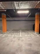 ����� �����������. ����