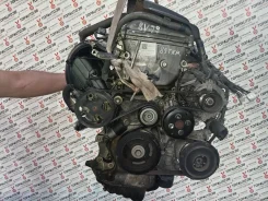 ��������� Toyota Ipsum 2007, 2AZ-FE, ACM21 [1140028050] 1140028050 ����