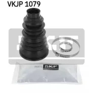 ������� ���� (���. ��������) SKF VKJP1079 VKJP1079 ����