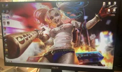 Asus. 23.8" ����