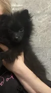 ����. ����