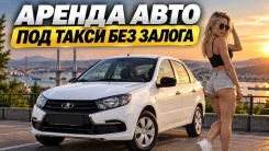 Toyota Prius. ��� �������� ����