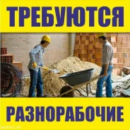 ������������. ��� "���". �� ����������, � 3 ����