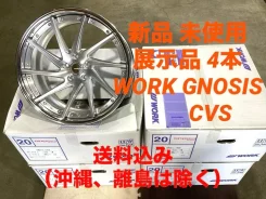 Work Gnosis CVS