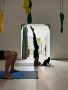 ����. ����